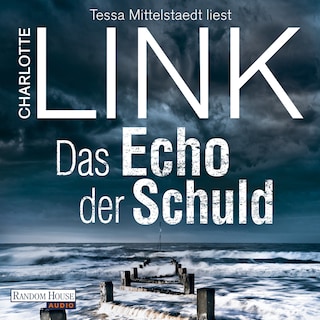 Das Echo der Schuld als Hörbuch