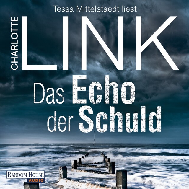 Copertina del libro per Das Echo der Schuld