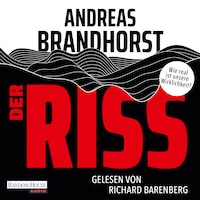 Der Riss