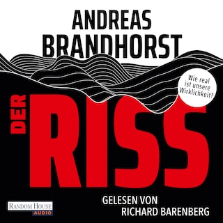 Der Riss als Hörbuch