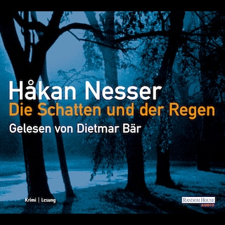 Die Schatten und der Regen als Hörbuch