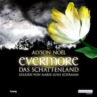 Evermore. Das Schattenland