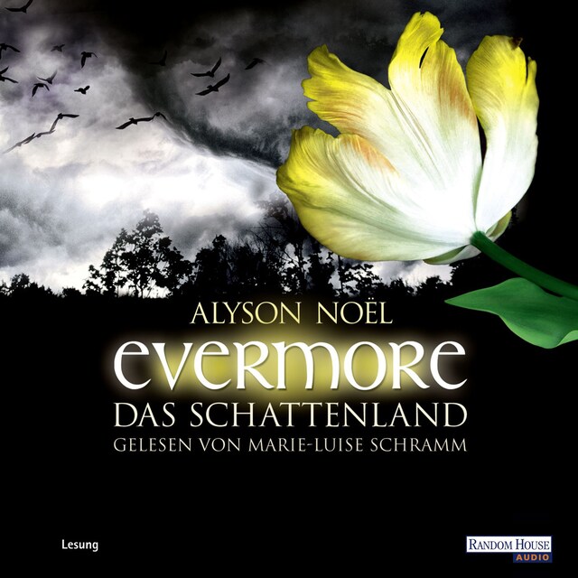 Buchcover für Evermore. Das Schattenland