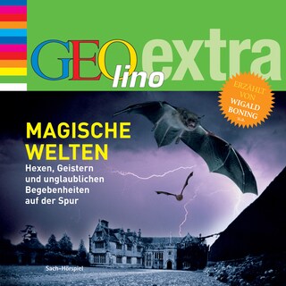 Magische Welten - Hexen, Geistern und unglaublichen Begebenheiten auf der Spur als Hörbuch