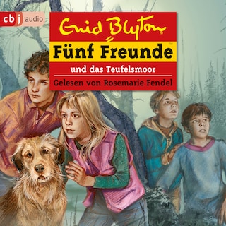 Fünf Freunde und das Teufelsmoor als Hörbuch
