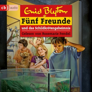 Fünf Freunde und das Schildkrötengeheimnis als Hörbuch