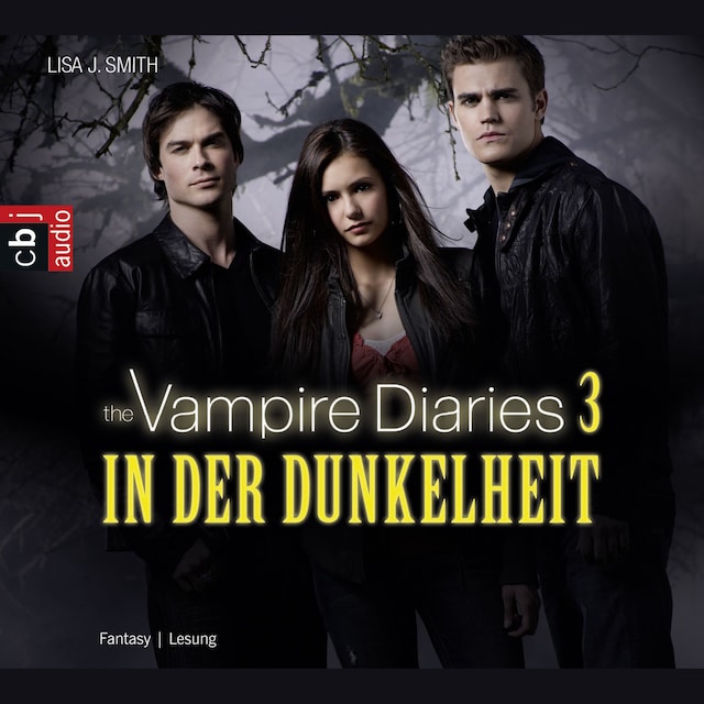 Buchcover für The Vampire Diaries - In der Dunkelheit