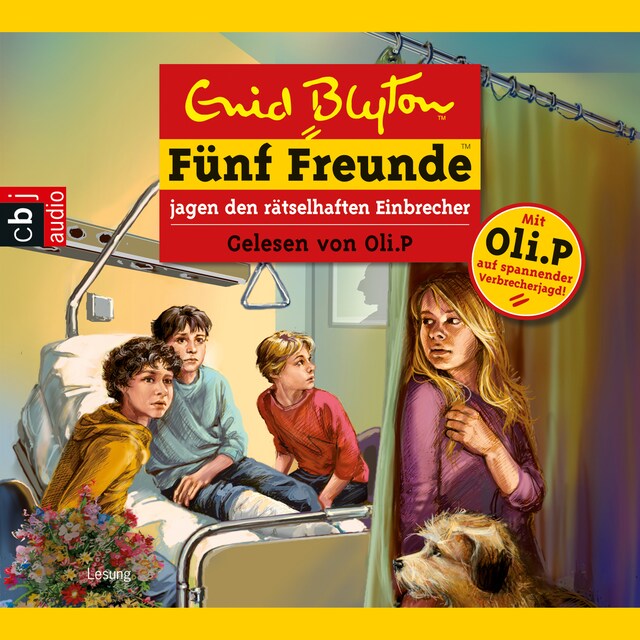 Buchcover für Fünf Freunde jagen den rätselhaften Einbrecher