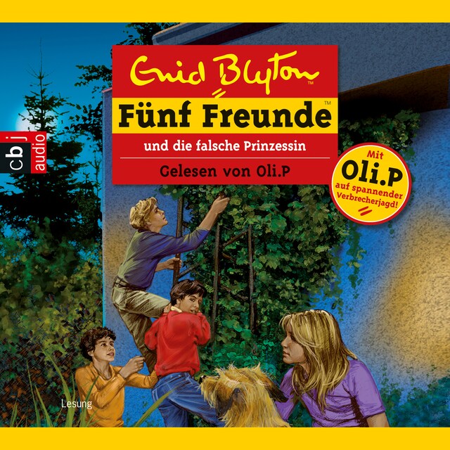 Buchcover für Fünf Freunde und die falsche Prinzessin