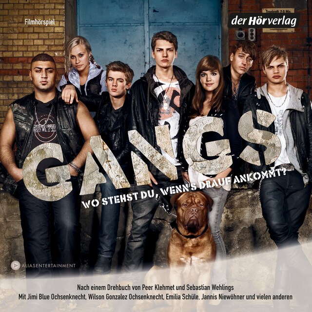 Buchcover für Gangs (Filmhörspiel)