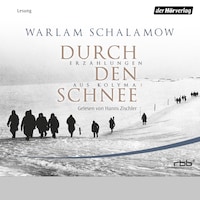 Durch den Schnee