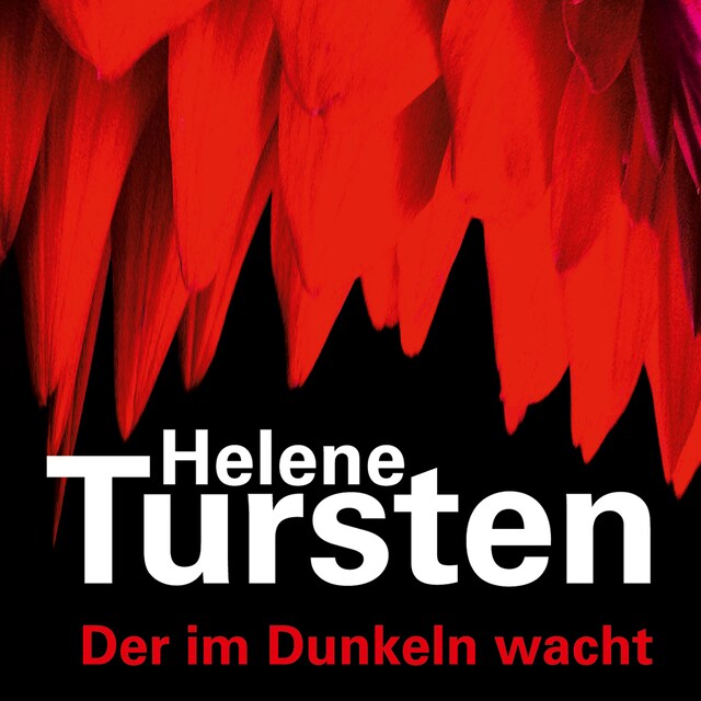 Buchcover für Der im Dunkeln wacht