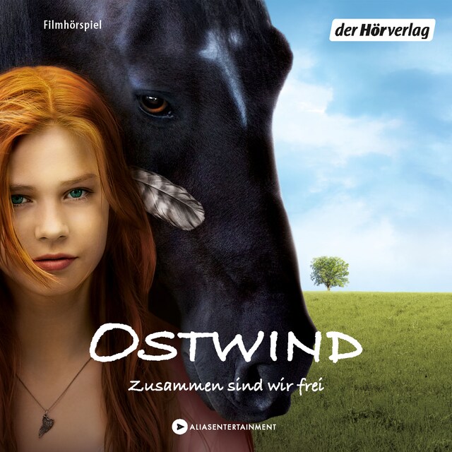 Buchcover für Ostwind