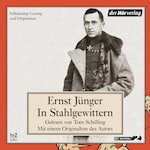 In Stahlgewittern