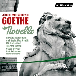 Novelle als Hörbuch