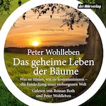 Das geheime Leben der Bäume