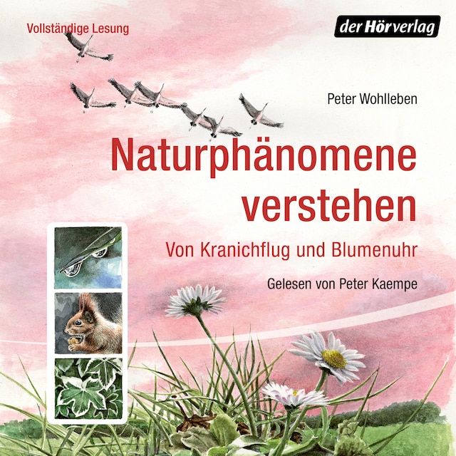 Buchcover für Naturphänomene verstehen