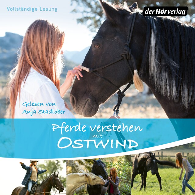 Buchcover für Pferde verstehen mit Ostwind