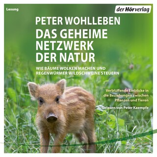 Das geheime Netzwerk der Natur als Hörbuch