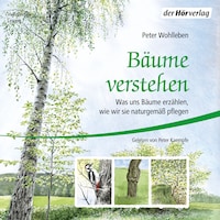 Bäume verstehen