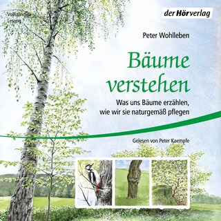 Bäume verstehen als Hörbuch