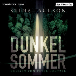 Dunkelsommer als Hörbuch