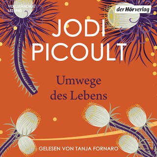 Umwege des Lebens als Hörbuch