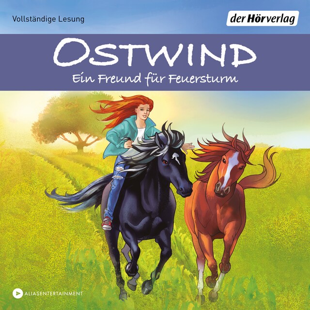 Buchcover für Ostwind - Ein Freund für Feuersturm