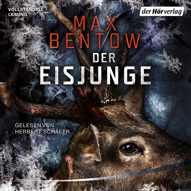 Buchcover für Der Eisjunge