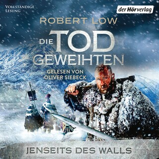 Jenseits des Walls als Hörbuch