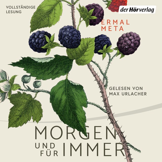 Buchcover für Morgen und für immer