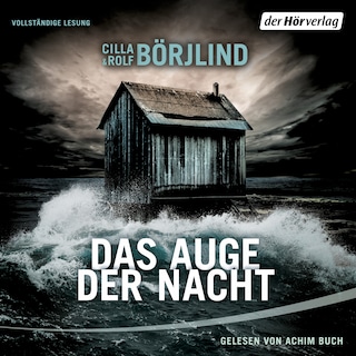 Das Auge der Nacht als Hörbuch