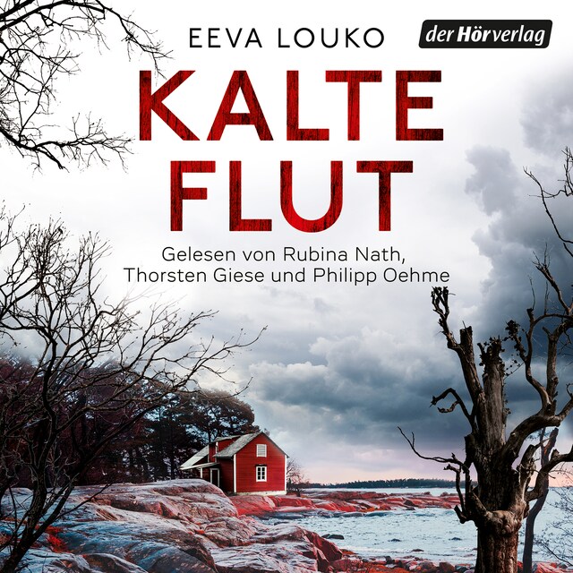 Book cover for Kalte Flut