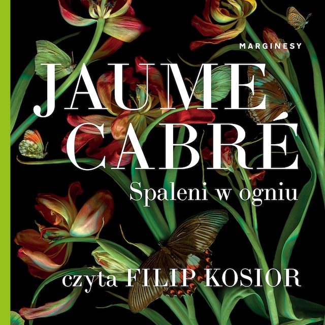 Book cover for Spaleni w ogniu