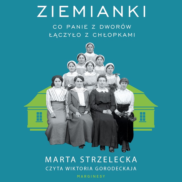 Book cover for Ziemianki