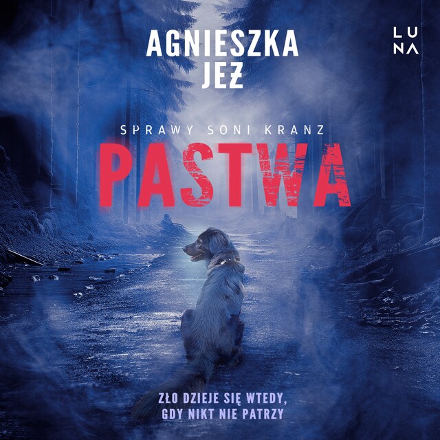 Book cover for Pastwa