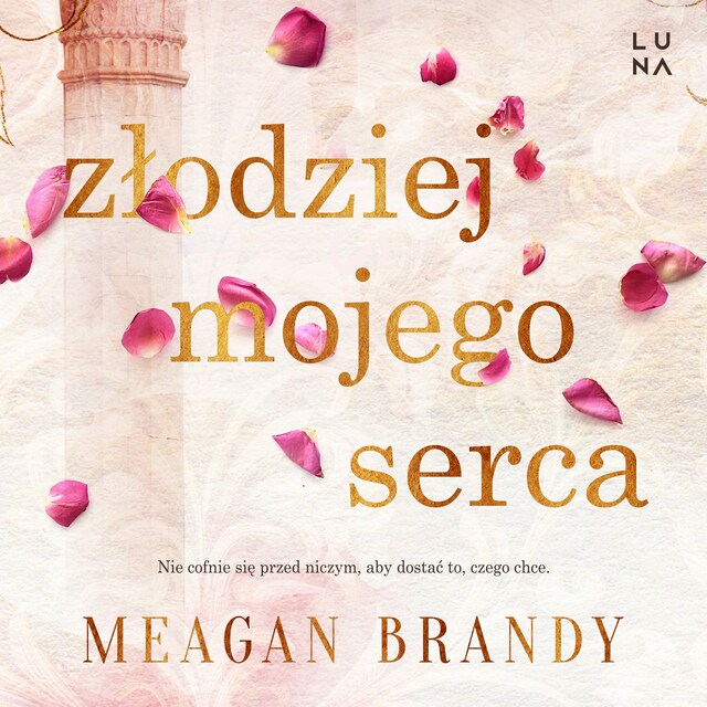 Buchcover für Złodziej mojego serca