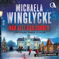 När allt går sönder