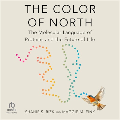The Color of North
