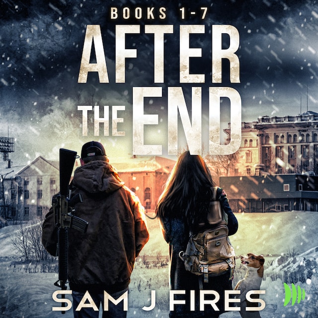 Book cover for After the End Series