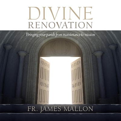 Divine Renovation