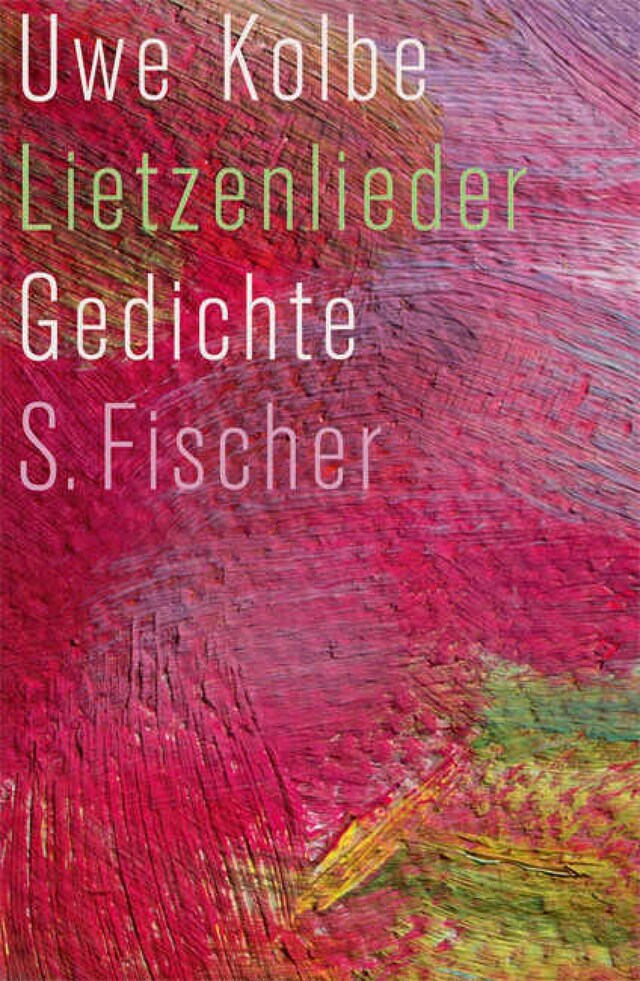 Copertina del libro per Lietzenlieder