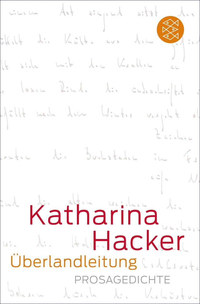 Book cover for Überlandleitung