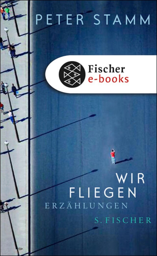 Book cover for Wir fliegen