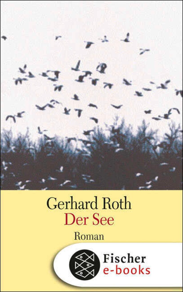 Buchcover für Der See