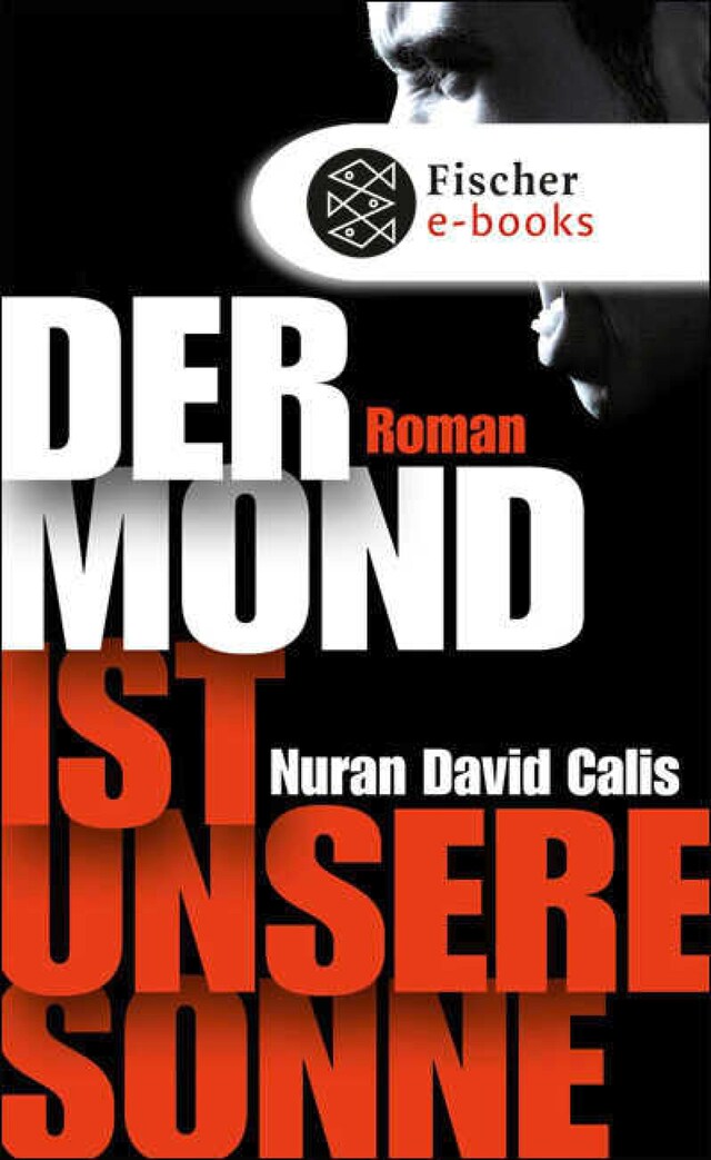 Book cover for Der Mond ist unsere Sonne