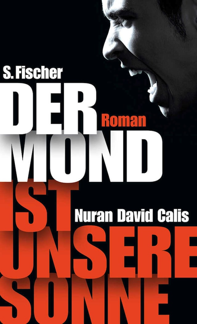 Book cover for Der Mond ist unsere Sonne