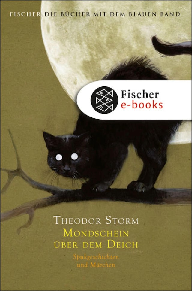 Book cover for Mondschein über dem Deich