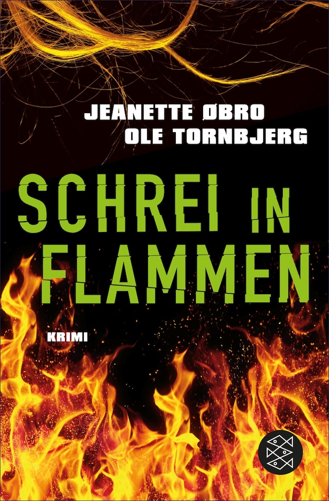 Book cover for Schrei in Flammen