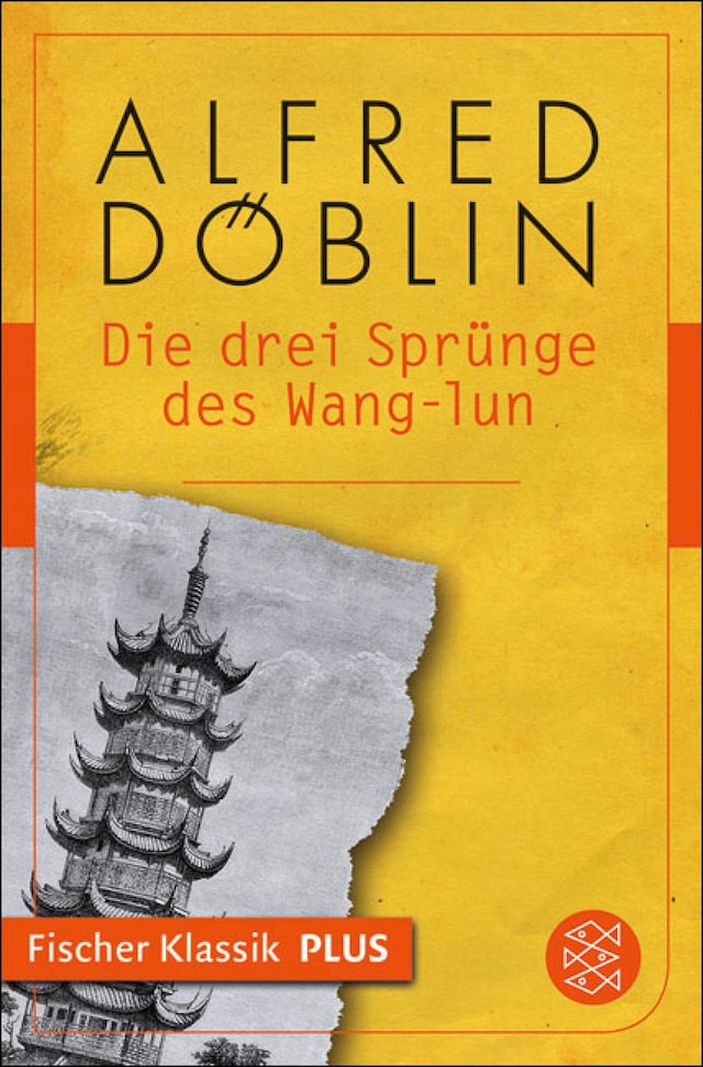 Book cover for Die drei Sprünge des Wang-lun